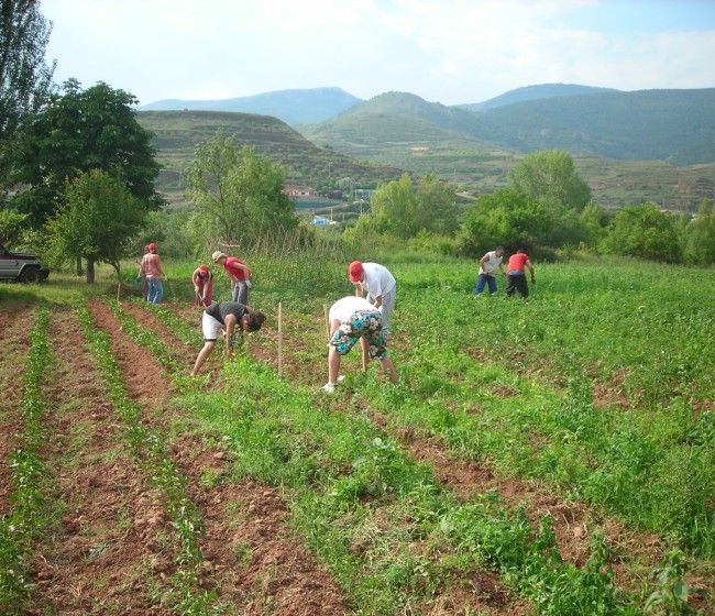 El FEGA asigna 8,85 millones en derechos de la PAC a 2.010 agricultores