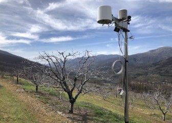 Gestión eficiente del agua en el cerezo del Valle del Jerte