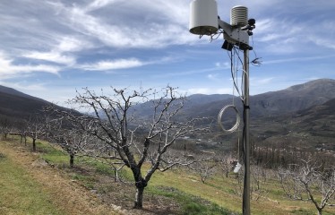 Gestión eficiente del agua en el cerezo del Valle del Jerte