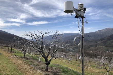 Gestión eficiente del agua en el cerezo del Valle del Jerte