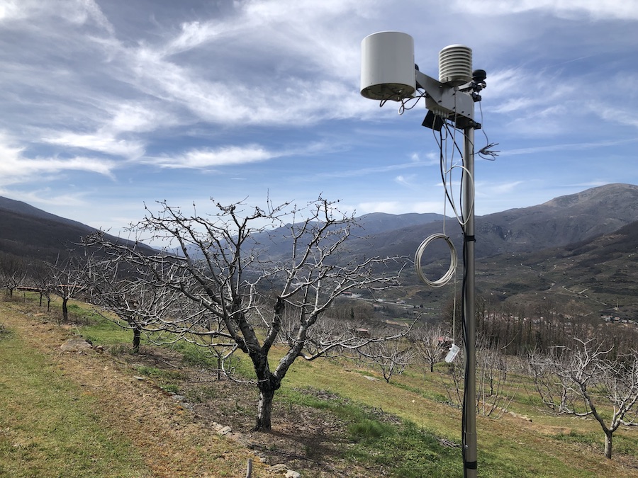 Gestión eficiente del agua en el cerezo del Valle del Jerte