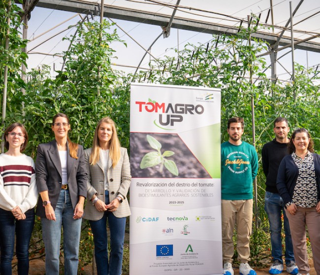 Tomates que abonan tomates: un proyecto pionero cierra el círculo y usa desechos del fruto para su propio cultivo