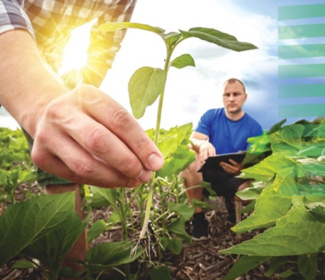 Visión sobre la Agricultura y los Alimentos de la CE: hacia un sector agroalimentario atractivo y resistente