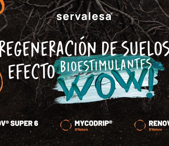 Servalesa presentará este miércoles 26 de marzo en Citrus Connect, estrategias para la regeneración de suelos en citricultura