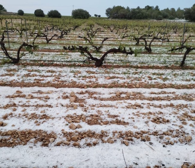 La siniestralidad en el campo aumenta: 34% más de hectáreas dañadas en dos meses