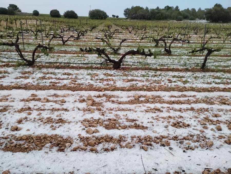 La siniestralidad en el campo aumenta: 34% más de hectáreas dañadas en dos meses