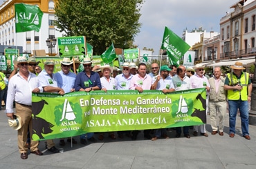 Más de 1.500 ganaderos andaluces se manifiestan en protesta por la aplicación del nuevo CAP